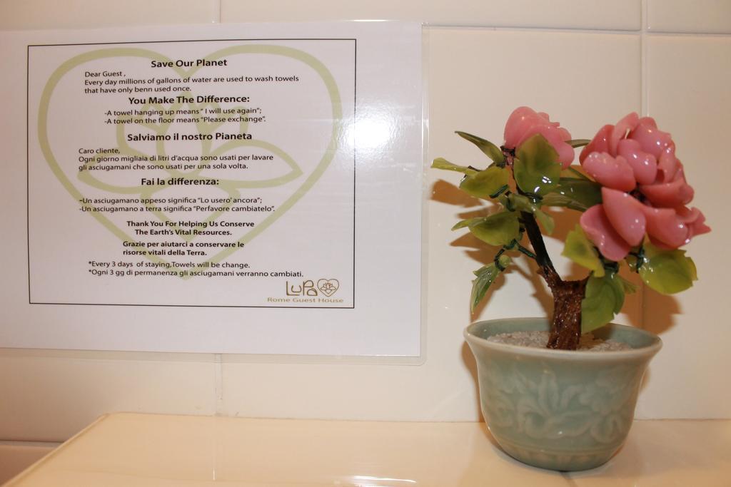 Lupa Bed and breakfast